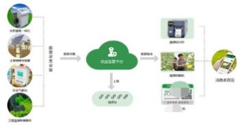 農產品全產業鏈溯源系統軟件開發解決方案